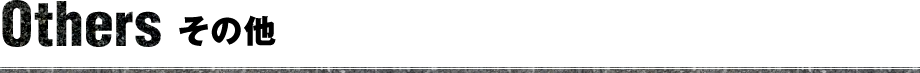 その他